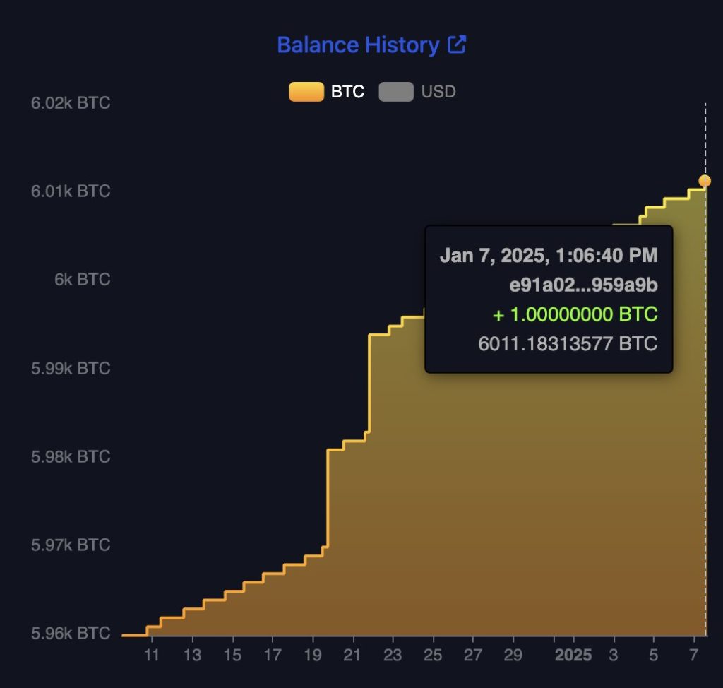 Whale Interest Drives Bullish Sentiment