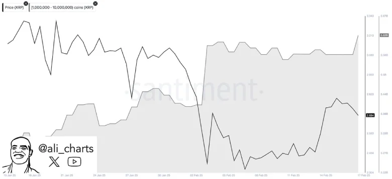 XRP Whales - Ali Charts