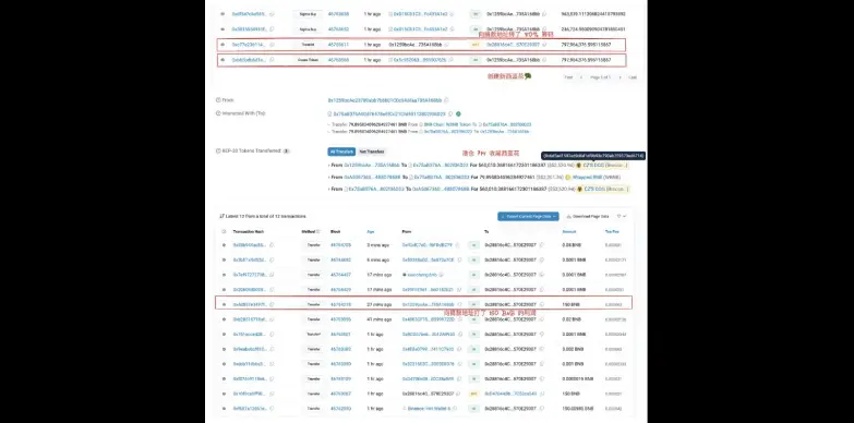 Transaction details of the crypto scam by the Broccoli whale