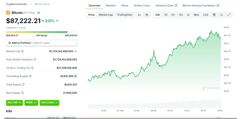 BTC 24 Hours Chart 