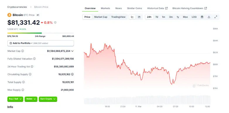 BTC 24 Hours Chart 