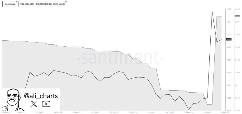 Ali Martinez Price Charts