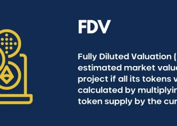 FDV meaning in crypto - Fully Diluted Valuation