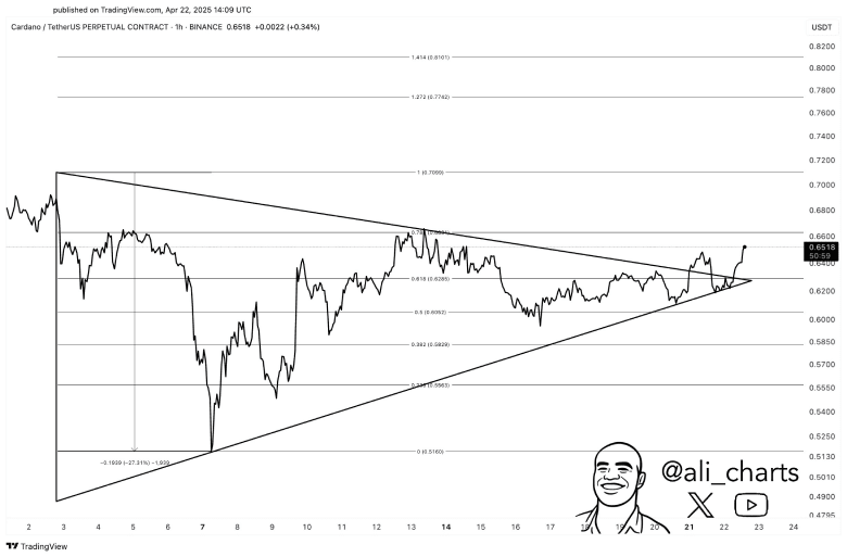 Crypto Analyst Ali Martinez