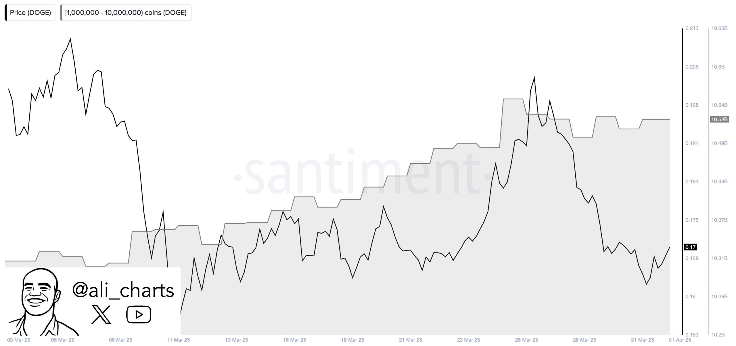 Dogecoin Price movement with Whale Purchase activity Dogecoin Price movement with Whale Purchase activity
