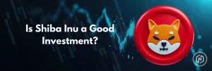 Is Shiba Inu a Good Investment?