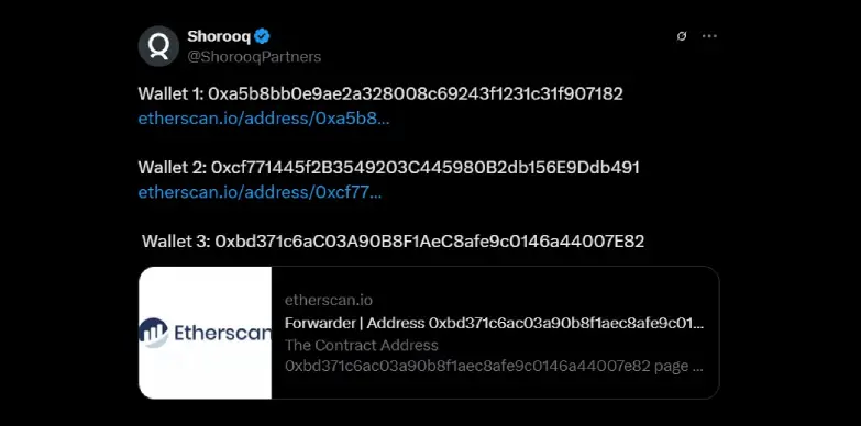 Shorooq shares wallet details on X