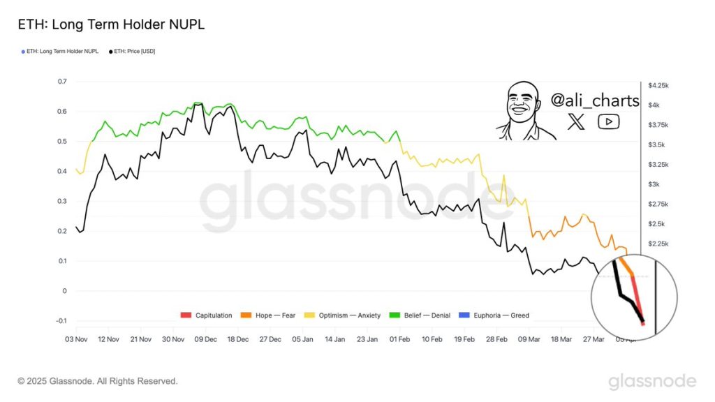 ETH Long term holder NUPL