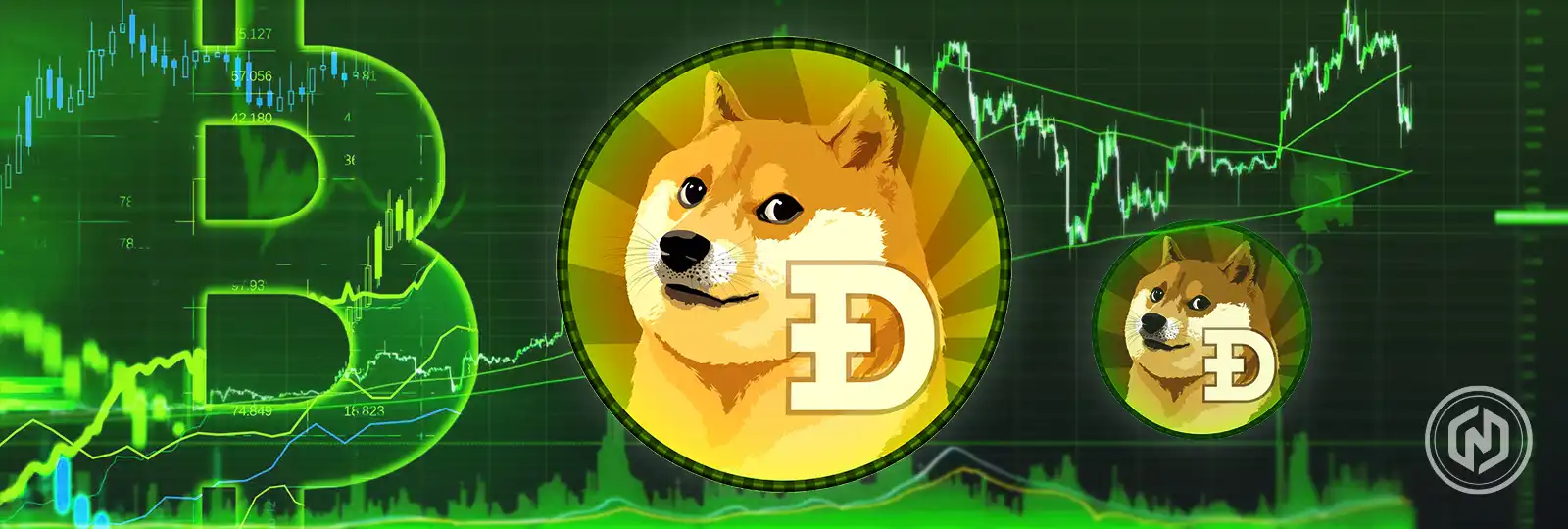 Dogecoin Price Gains Momentum as 80M Tokens Move Into Whale Wallets