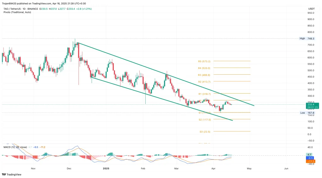 TAO Price chart analysis