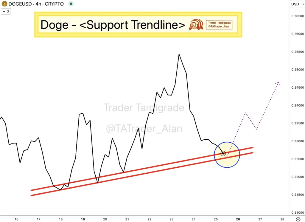 DOGE Price Chart (Source: X Post)