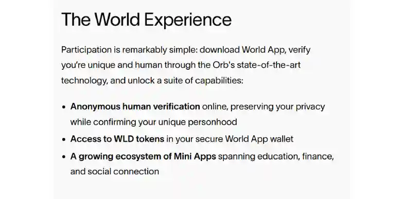 World App Participation World App Participation