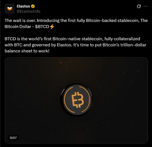 BTCD