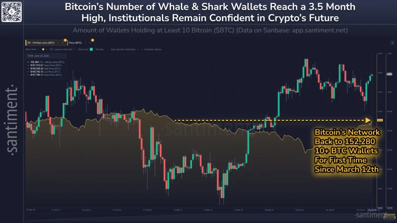 BTC Number of Whale BTC Number of Whale