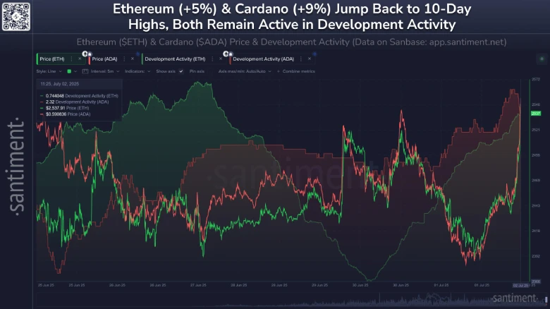 Cardano Tops Dev Charts Again; Will It Break $0.80?