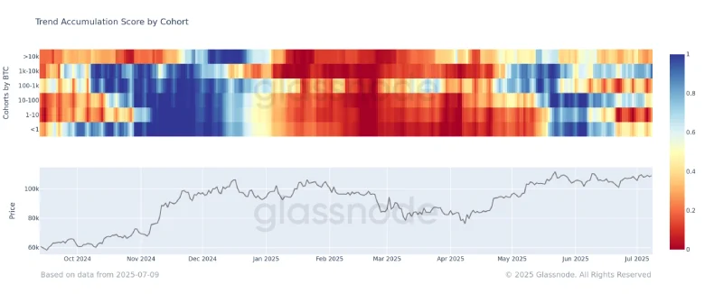 Bitcoin Poised for Breakout as Whales Absorb Weak Hands' Supply