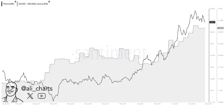 Chainlink Eyes $20 as Whale Buys Counter Market Correction
