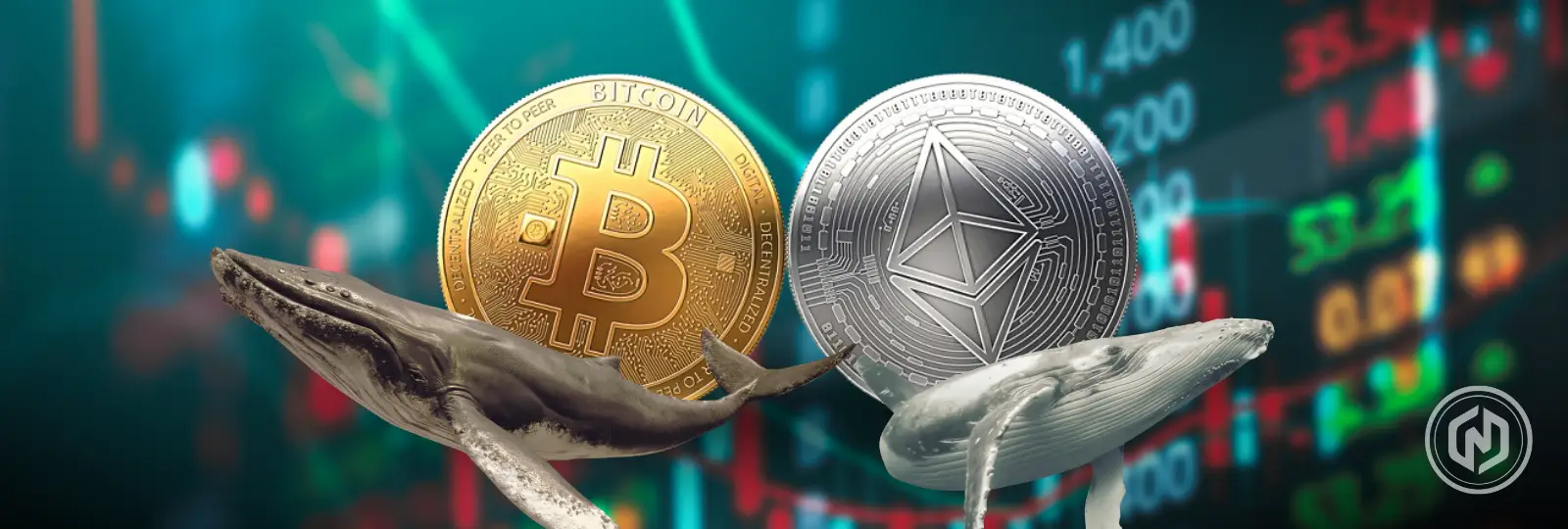 Ethereum Whales Rise while BTC Whales Drop