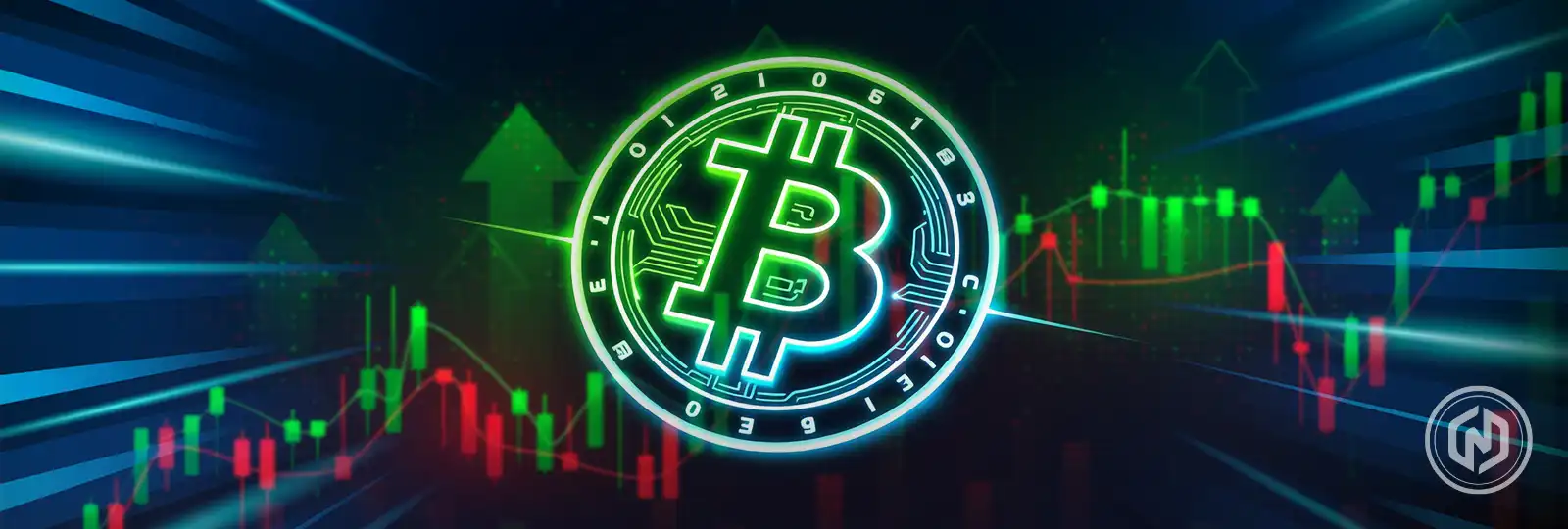 Institutions Flocking to Bitcoin: Mara Holdings CEO