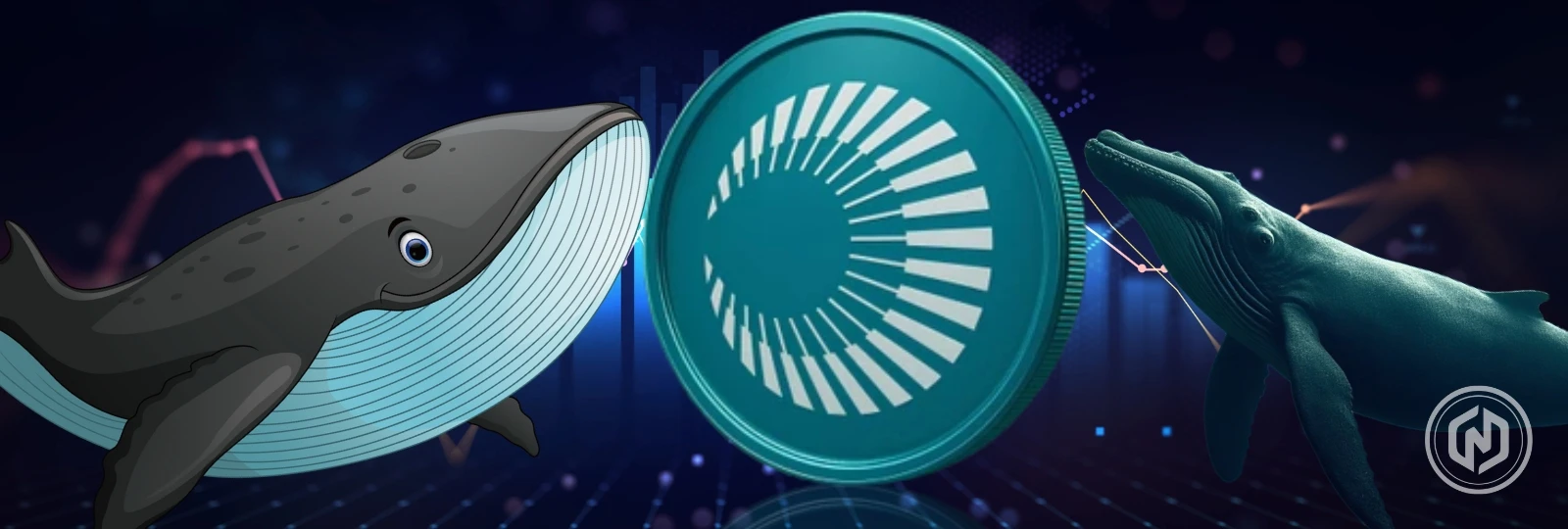 XPL Under the Spotlight Whale Takes 3x Leveraged Bet