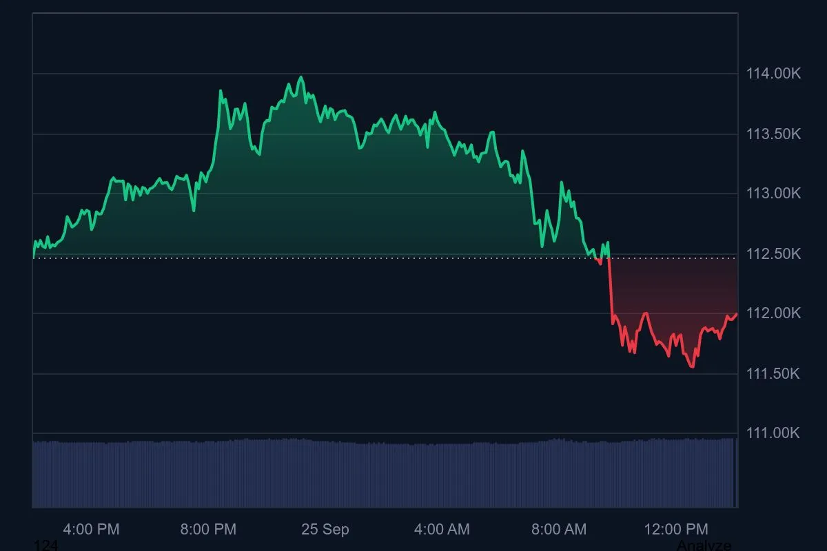 Bitcoin Price Chart BTCUSD Chart