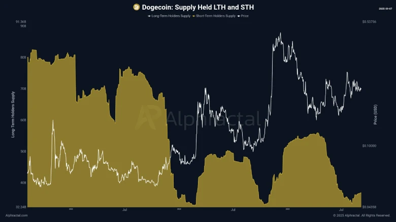 Dogecoin Price Eyes $0.3 as Short-Term Holders Fuel Bullish Momentum