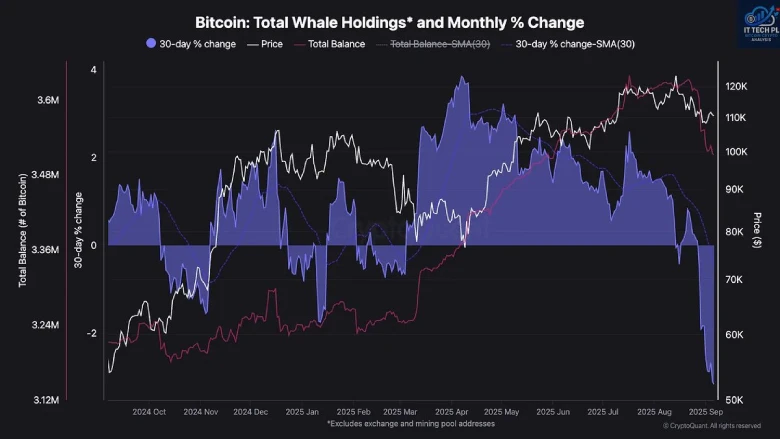 Bitcoin Faces Supply Pressure as Whale Reserves Drop Toward $100K