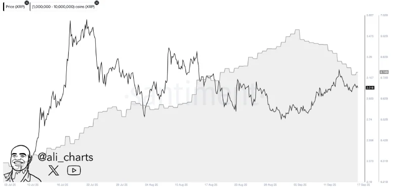 XRP Market Sentiment