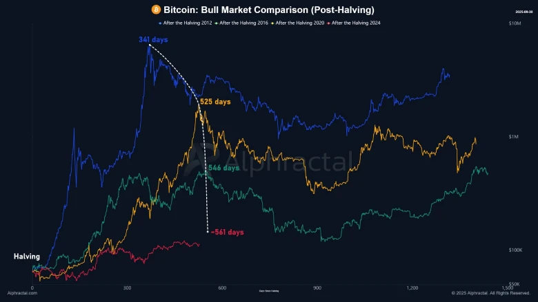 Bitcoin Bull market Comparison