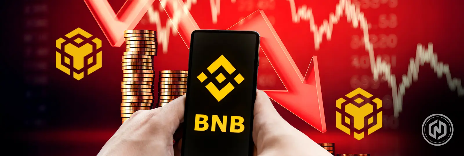 BNB Drops 12% After All-Time High Despite $600M Backing