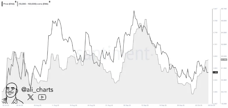 ENA Whale Activity Ethena Whale Activity