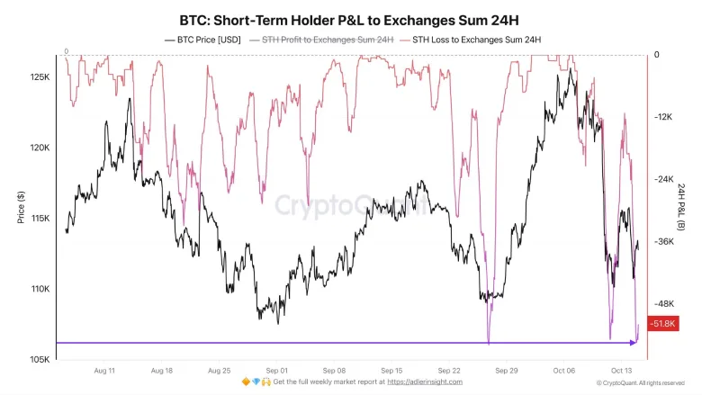 Retail Fear Meets Corporate Conviction as Bitcoin Price Holds Key Support