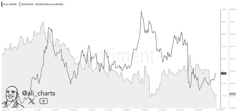Dogecoin Price Struggles at $0.20 Amid Futures Liquidation and Whale Selloff