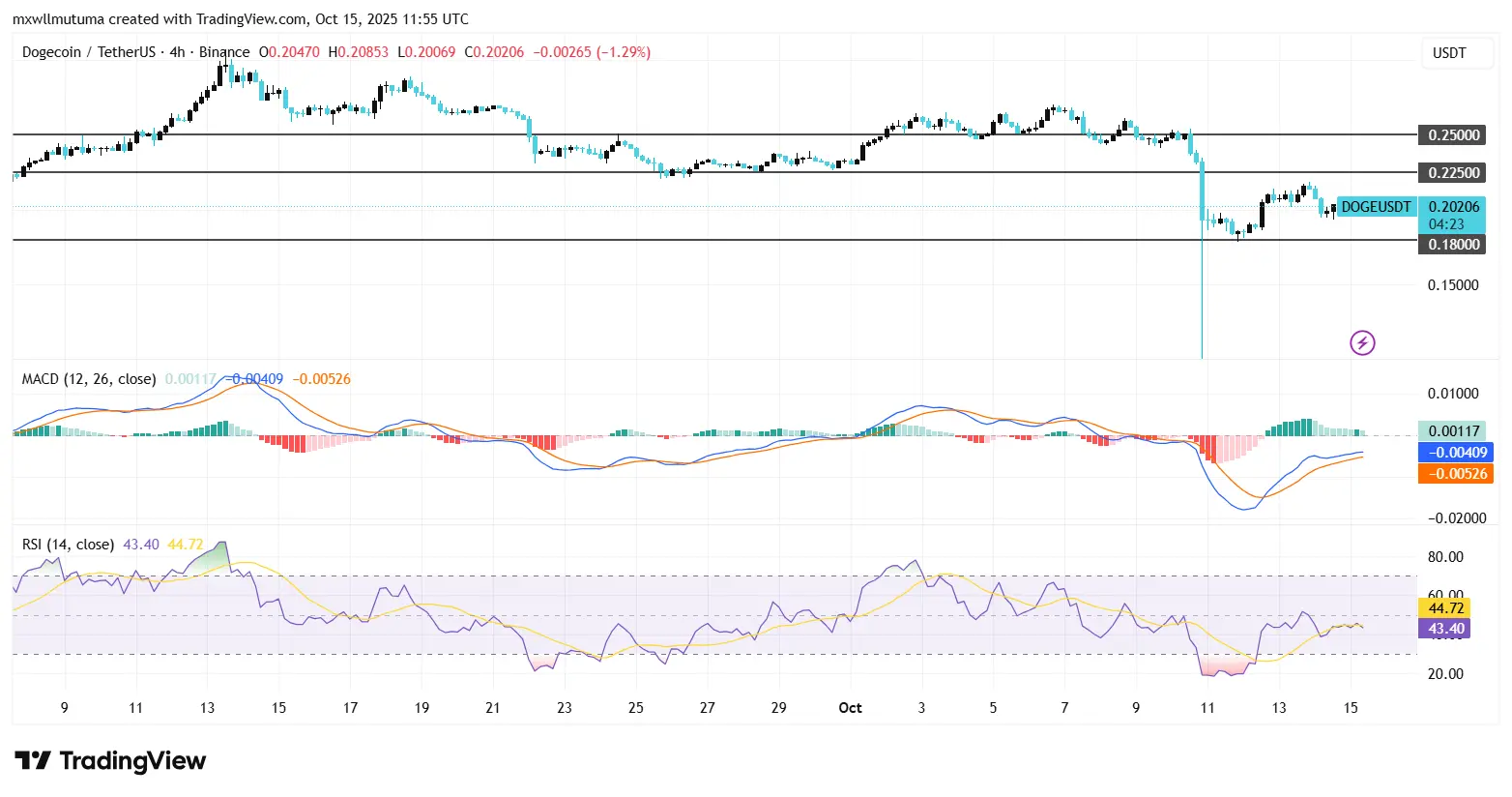 Dogecoin Price Holds Above $0.2 Signals Strong Bullish Reversal Incoming