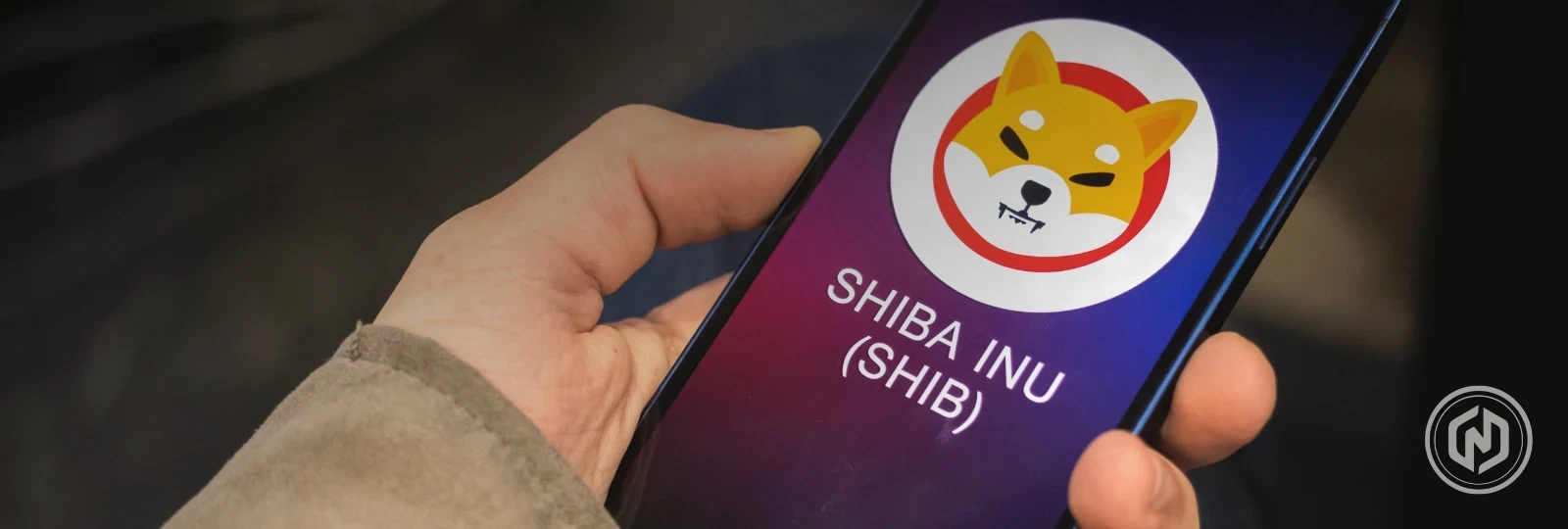 Shiba Inu Price Drops 26_ Is There a Recovery Ahead