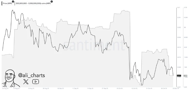 Whale Selling Whale Selling