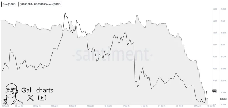 Whale Activity | Santiment