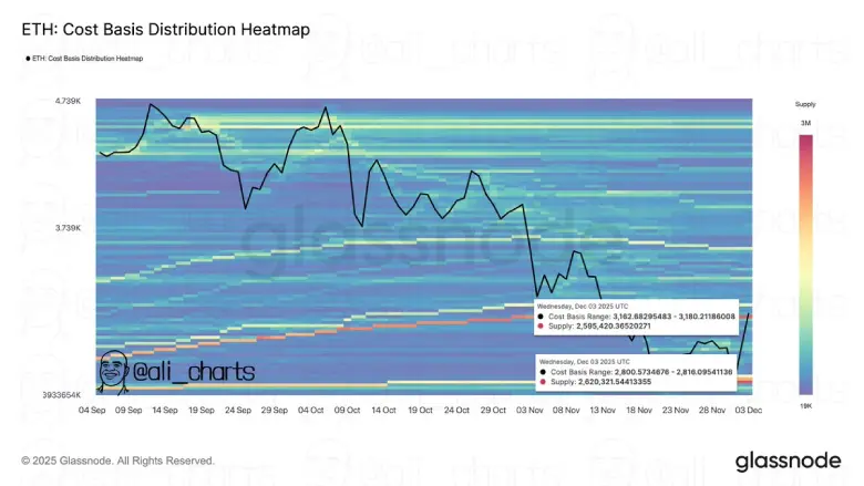 Coat Basis Distribution Heatmap