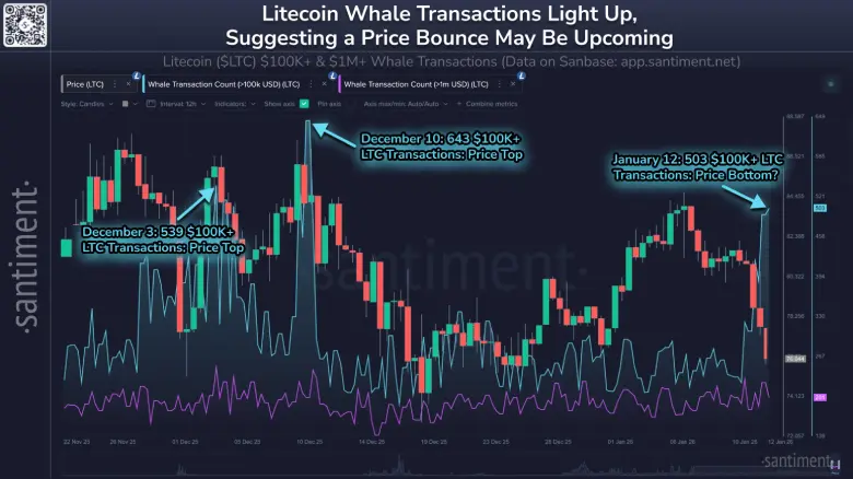 Litecoin Whale Activity Litecoin Whale Activity
