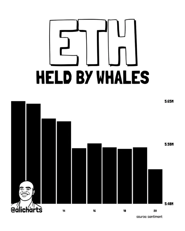 ETH Whale Activity ETH Whale Activity