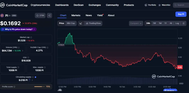 Pi Coin 24-hours chart