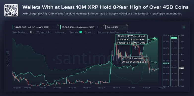 XRP Whale Acitivity XRP Whale Acitivity