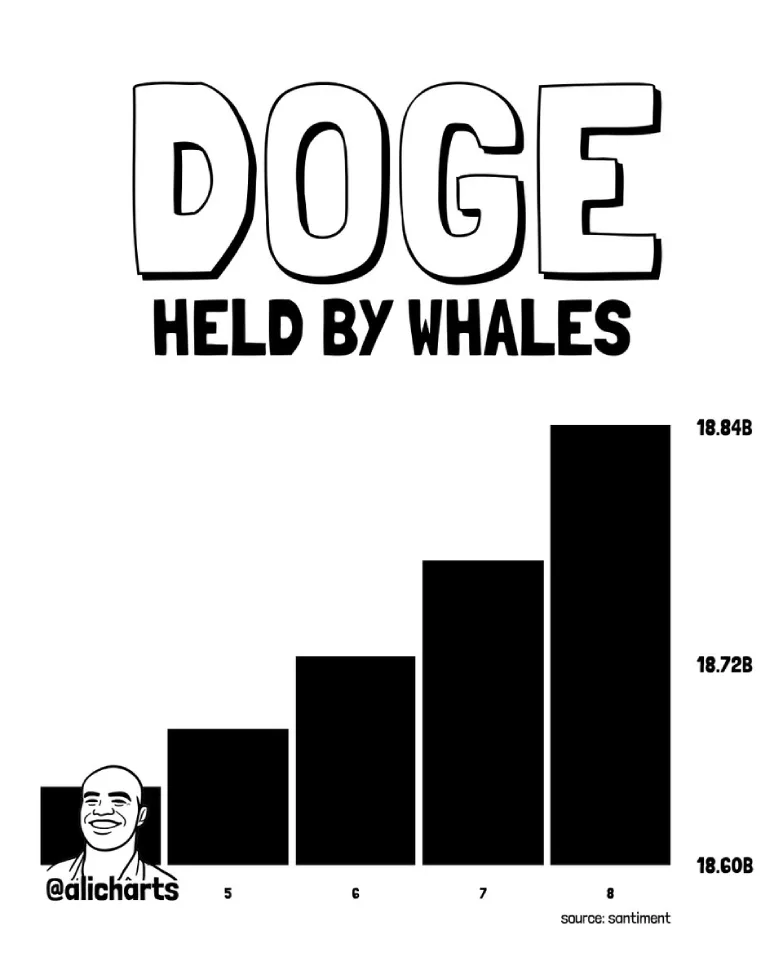 DOGE Whales Buying DOGE Whales Buying