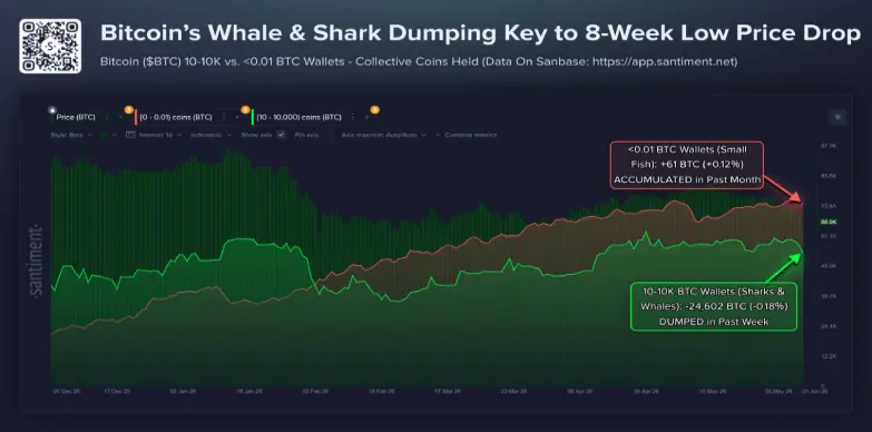 Bitcoin holders' activity Bitcoin holders' activity