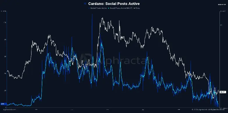 Social Posts Social Posts