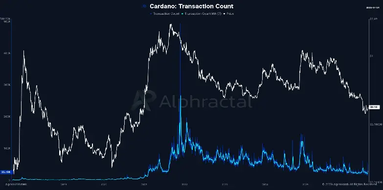 Cardano Transation Count Cardano Transation Count