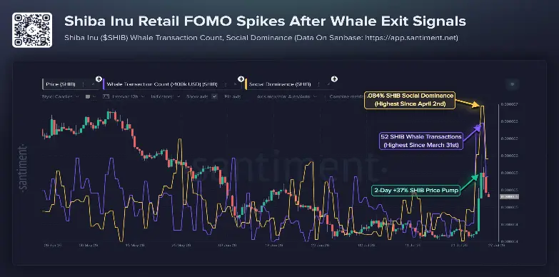 Shiba Inu Retail FOMO and Whale Exit Shiba Inu