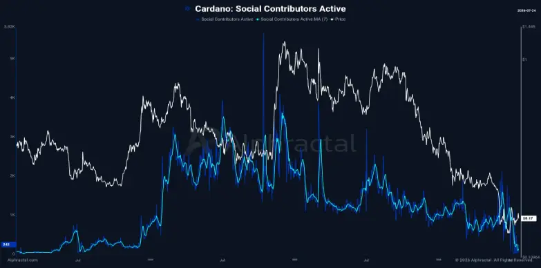 Social Contributors Activity Social Contributors Activity