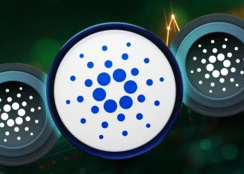 Cardano Market Capitalisation Increases Following Period of Large Holder Accumulation