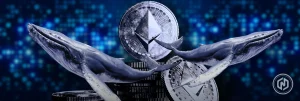 Ethereum Whales Hold $1,900-$2,400 Cost Band, Murphy Says $2,700 ETH Is Feasible Ethereum Whales Hold $1,900-$2,400 Cost Band, Murphy Says $2,700 ETH Is Feasible